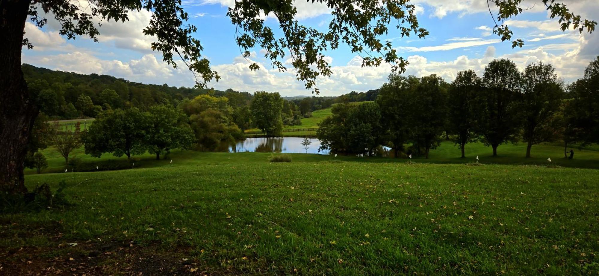 West Park Gardens Hotel Culpeper Ruang foto